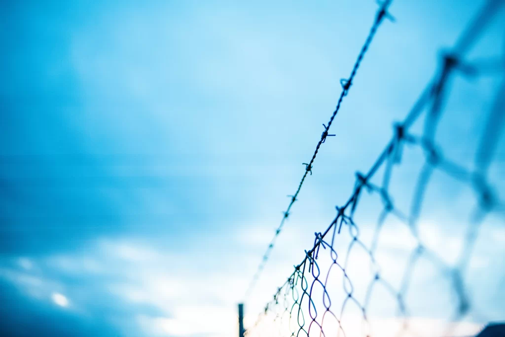 Barbed wire.