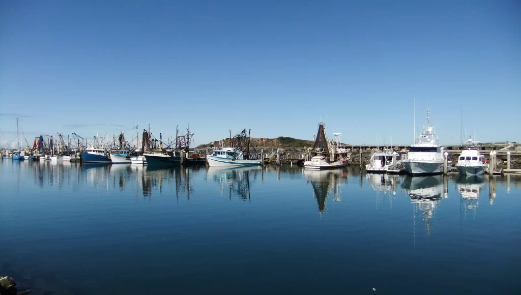 Fishing boats in a port in Coffs Harbour.