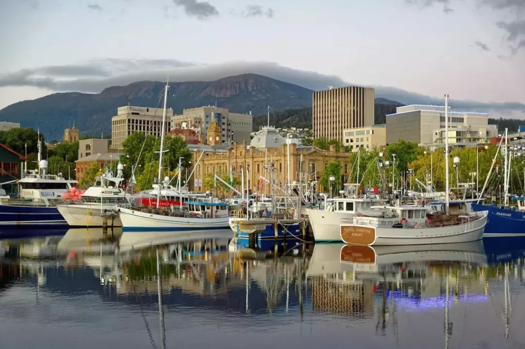 Fishing boats in the Constitution Dock in Hobart.