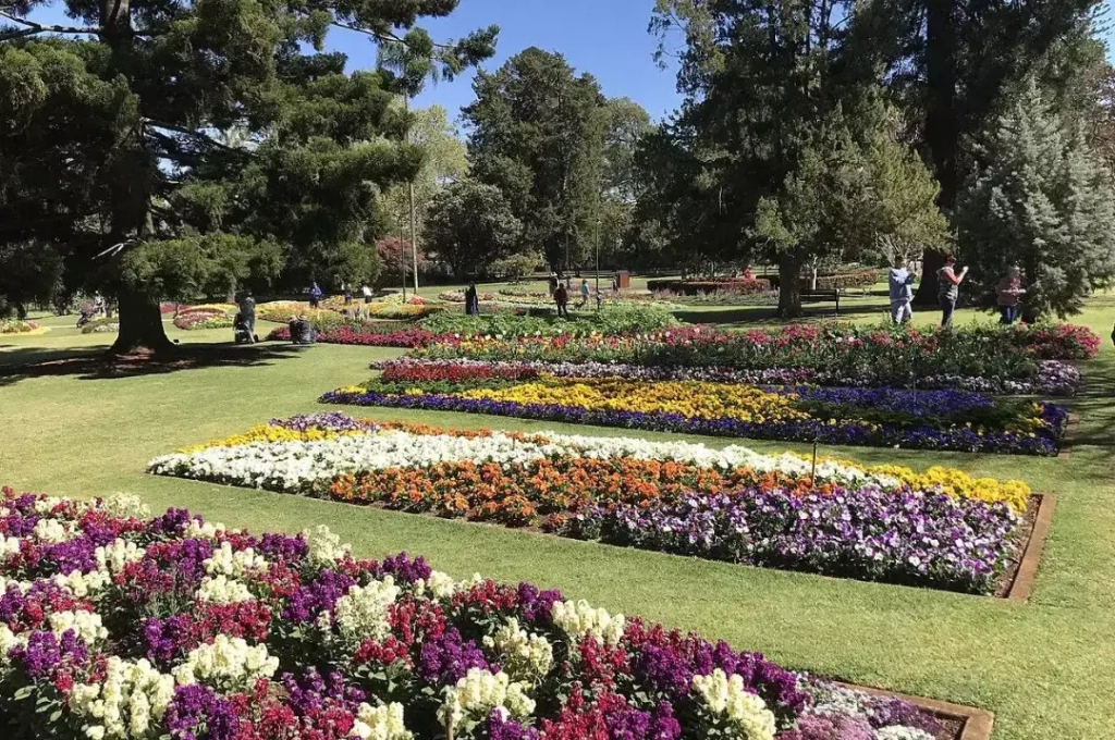 Carnival of Flowers in Toowoomba.