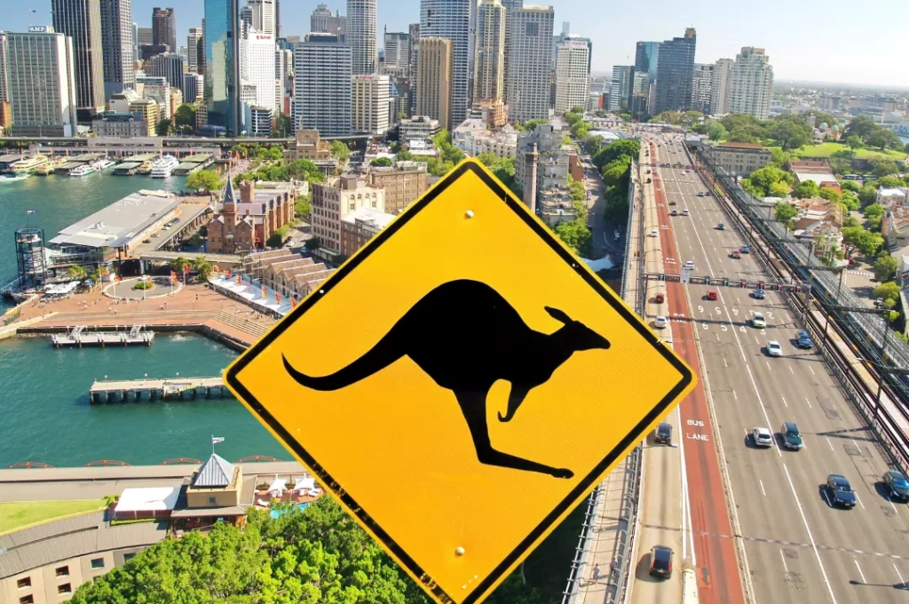 Kangaroo signage and buildings at the back.