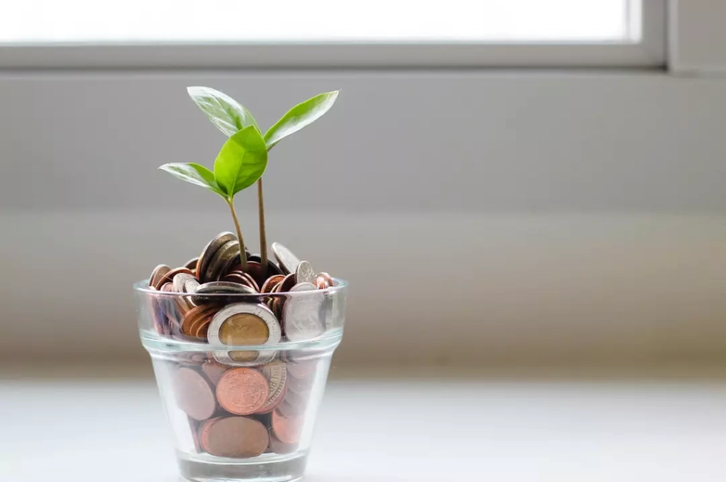 A plant sprouting from a glass filled with coins.