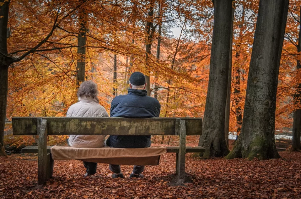 Back view of a senior couple sitting on a wooden bench in the forest.