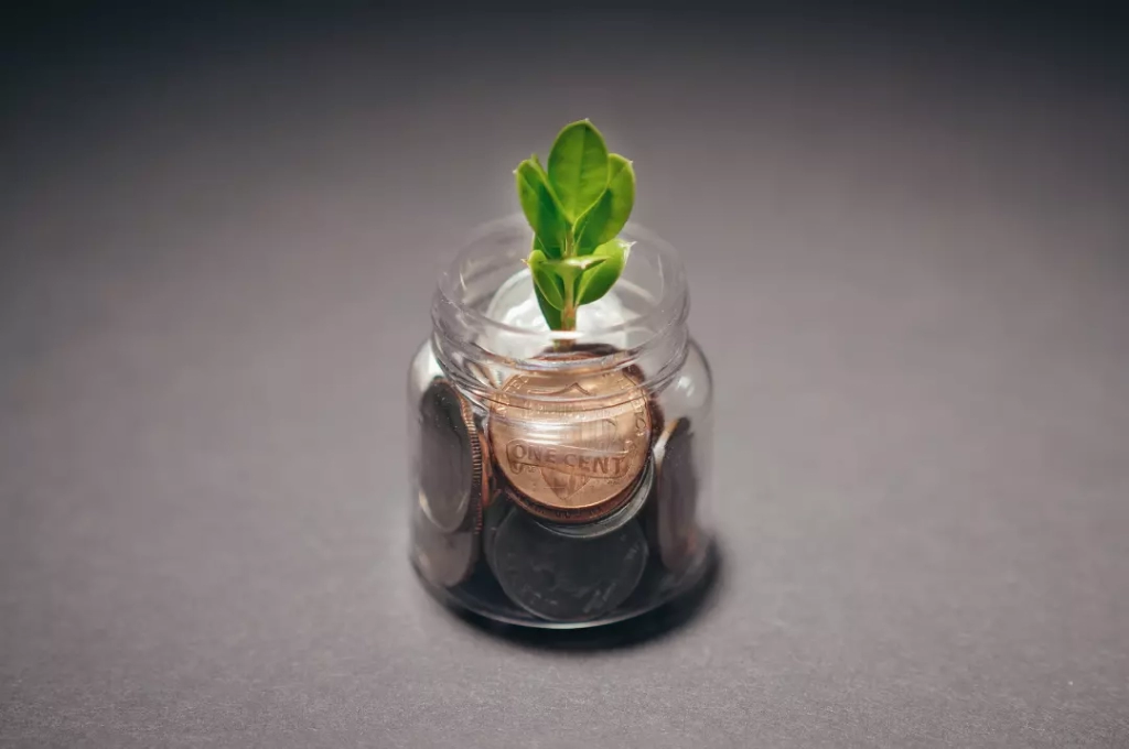 Seedling in a small jar filled with coins.