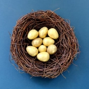Golden eggs in a nest representing investment diversification.
