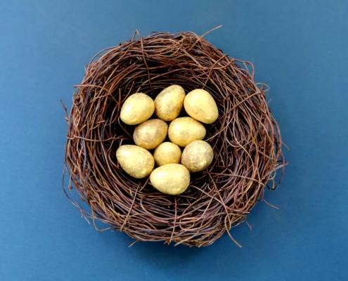 Golden eggs in a nest representing investment diversification.