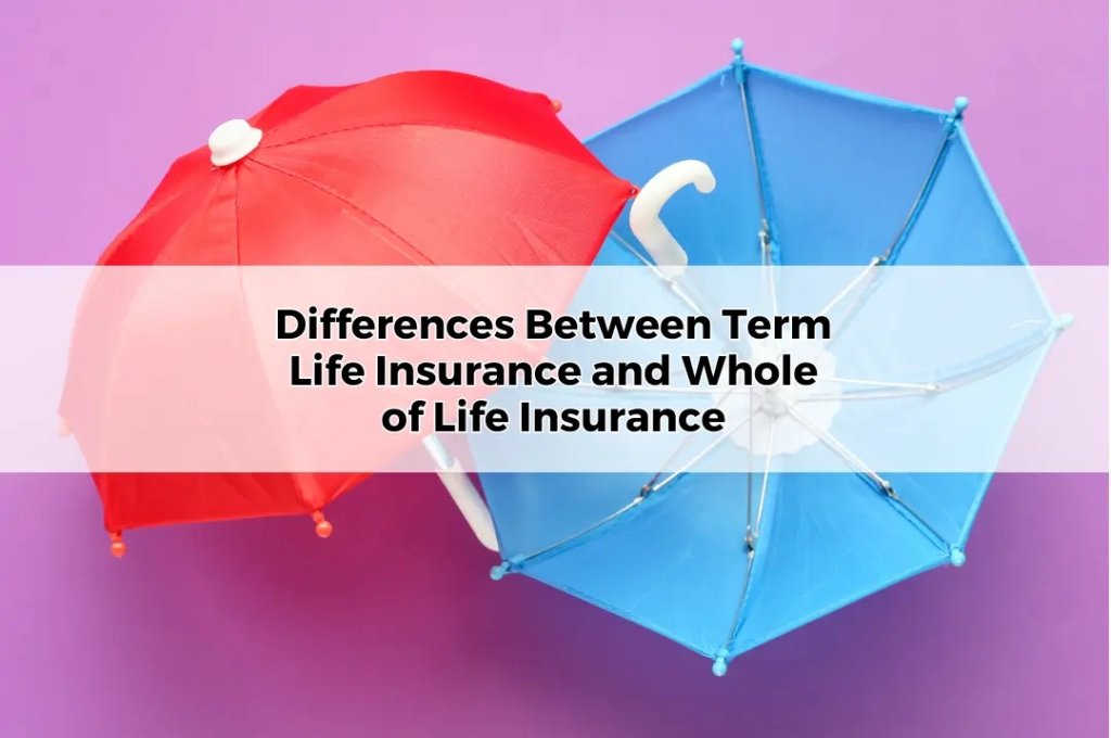 Differences Between Term Life Insurance and Whole of Life Insurance