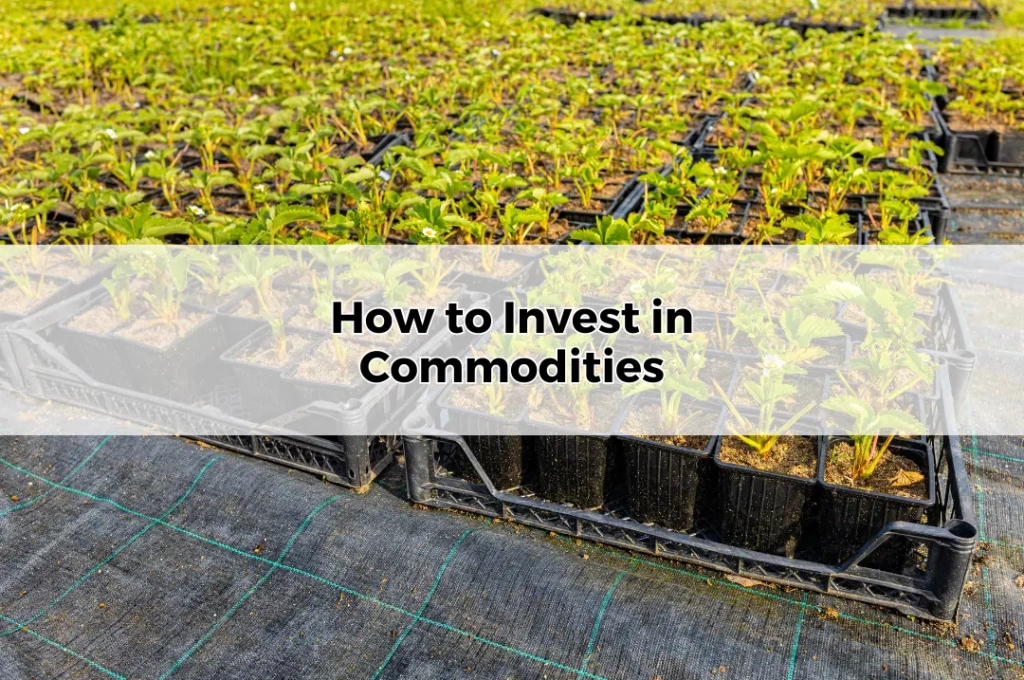 How to Invest in Commodities