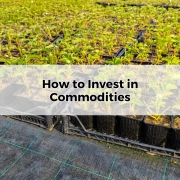 How to Invest in Commodities