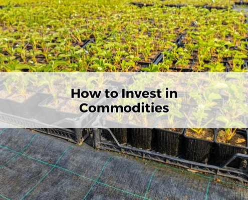 How to Invest in Commodities