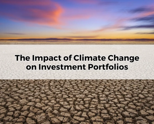 The Impact of Climate Change on Investment Portfolios